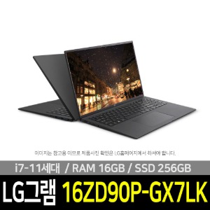 LG 그램16 16ZD90P-GX7LK
