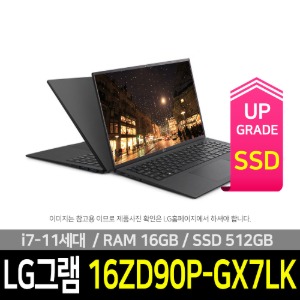 LG 그램16 16ZD90P-GX7LK SSD 512GB 교체
