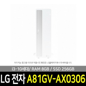 LG전자 A81GV-AX0306