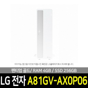LG전자 A81GV-AX0P06