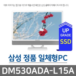 삼성전자 올인원PC DM530ADA-L15AW SSD 1TB 교체